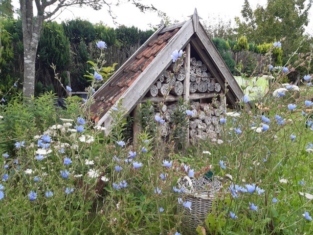 Insectenhotel met bloemen op de voorgrond in een weelderige tuinomgeving.
