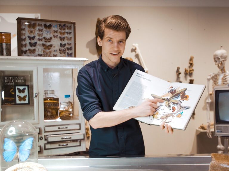 Een man wijst naar insecten in een open boek in een natuurhistorisch museum.