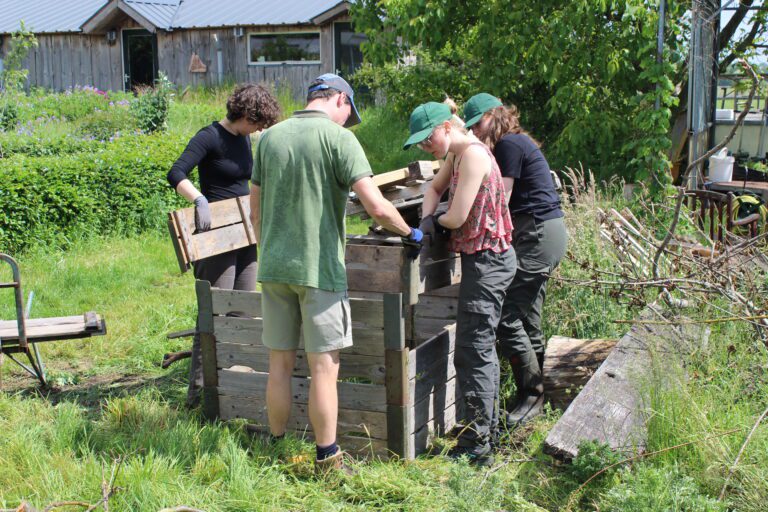Vier mensen bouwen een houten compostbak in een groene tuin.