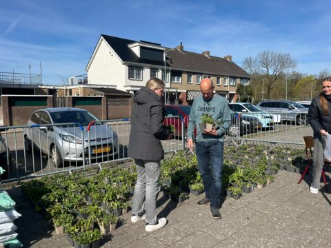 Mensen kopen planten bij een verkoop op een zonnig parkeerterrein, omheind door dranghekken.