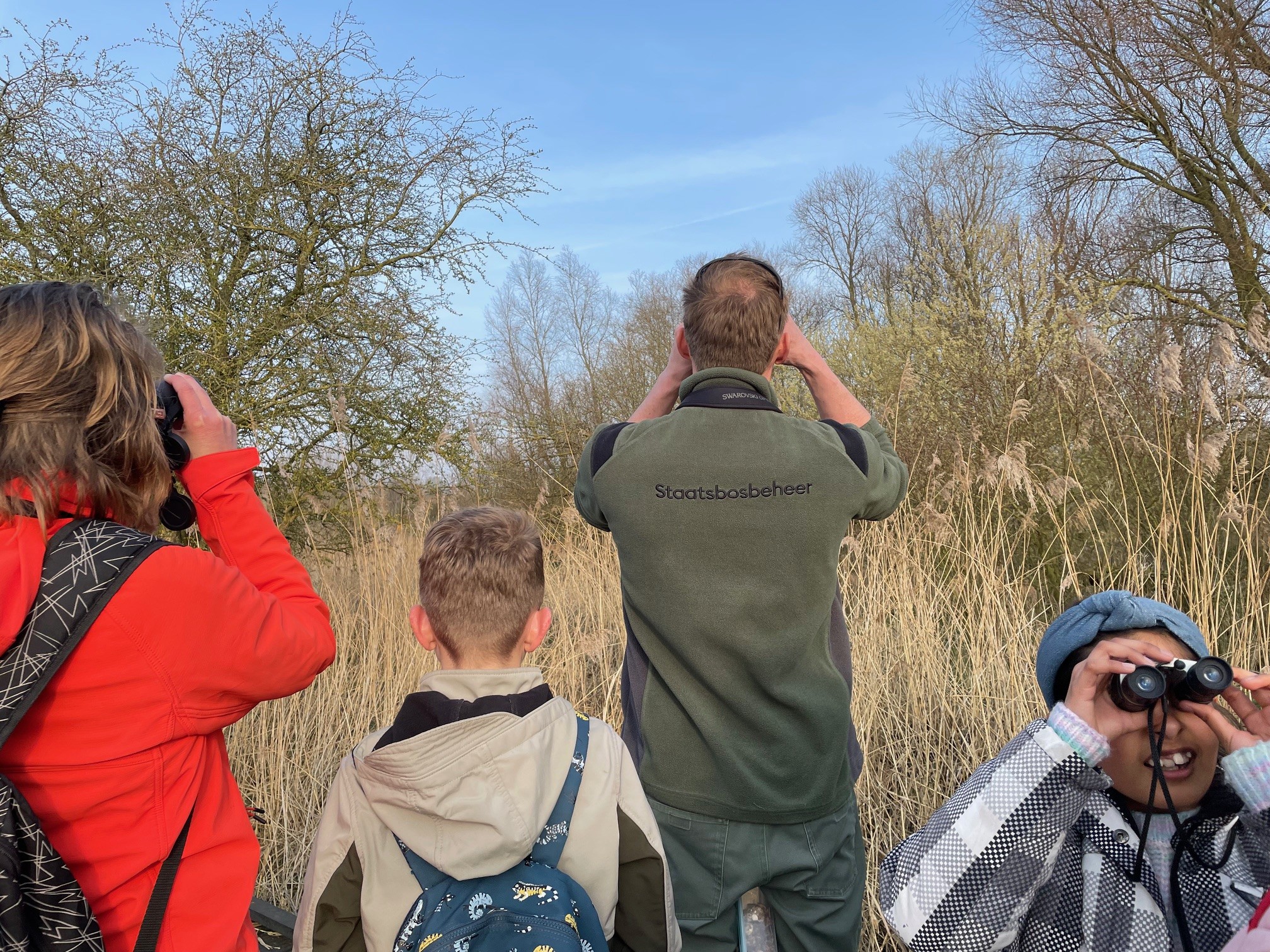 Mensen observeren vogels met verrekijkers in een natuurgebied omringd door bomen en gras.