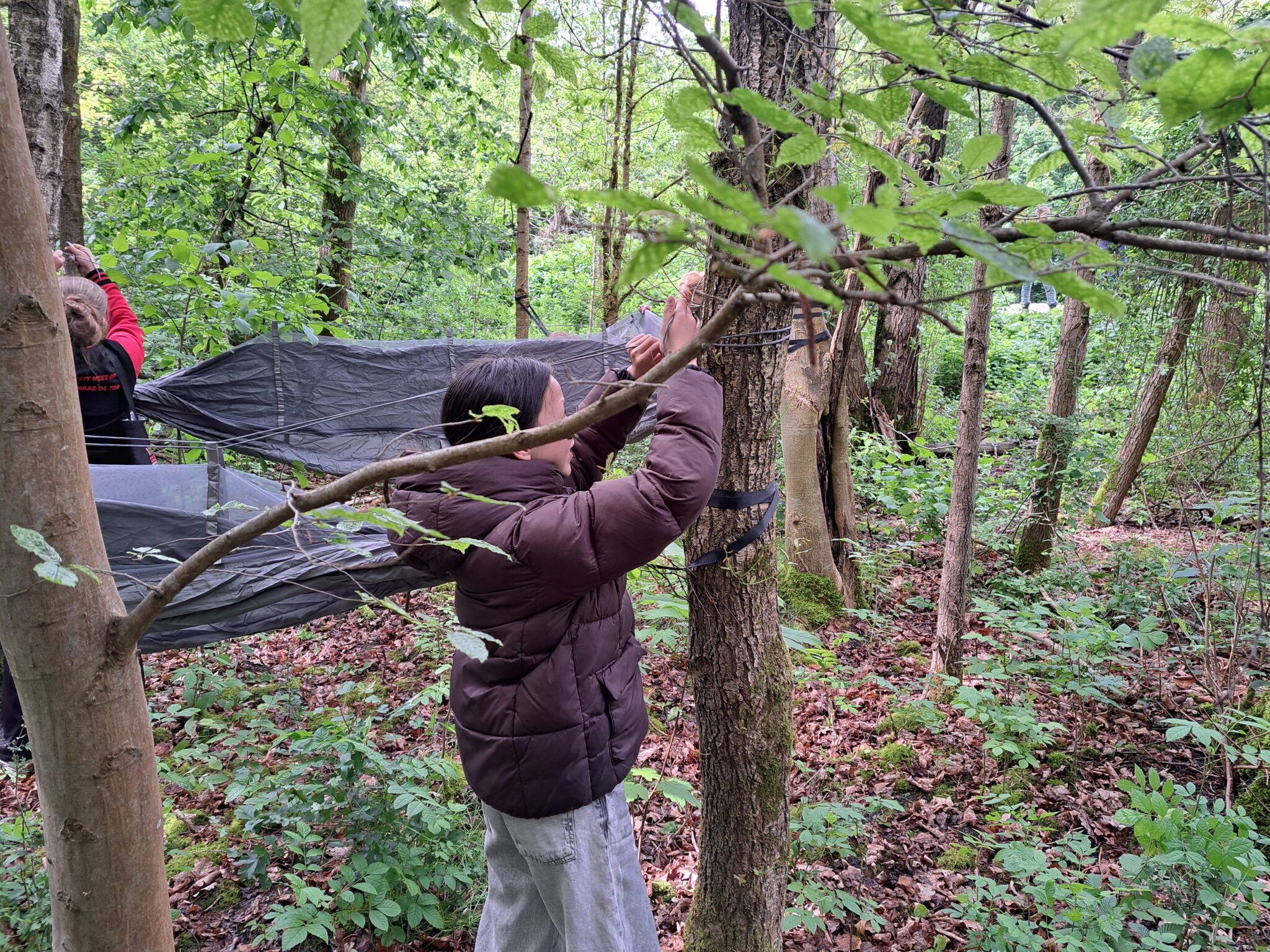 Kinderambassadeur bevestigt een hangmat tussen bomen in een groen bos.
