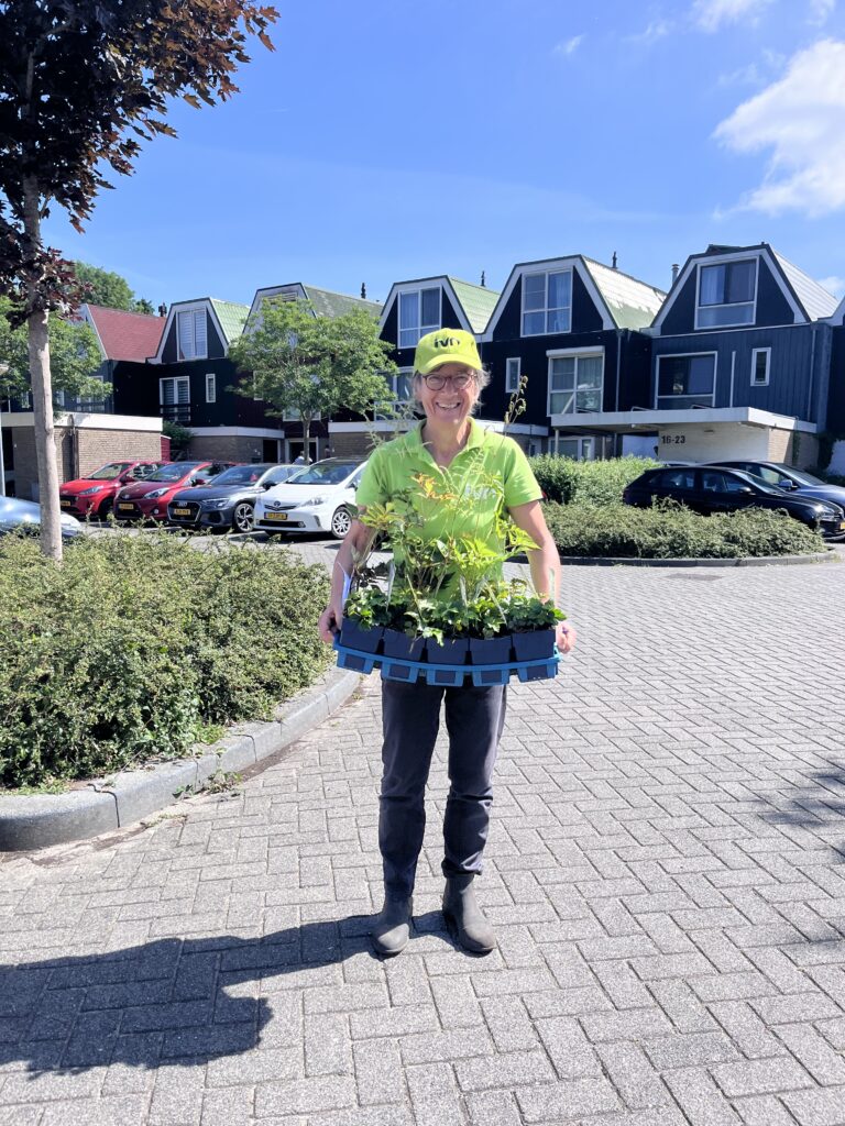 Persoon in groene kleding draagt plantenbakken op een parkeerplaats voor huizen.