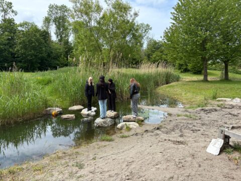 Groepje mensen staat op stenen in een vijver, omgeven door groen en bomen.