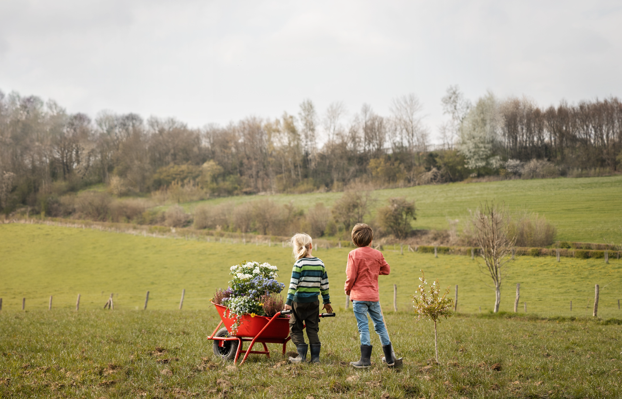 Kinderen met kruiwagen vol inheemse planten bij landbouwgrond