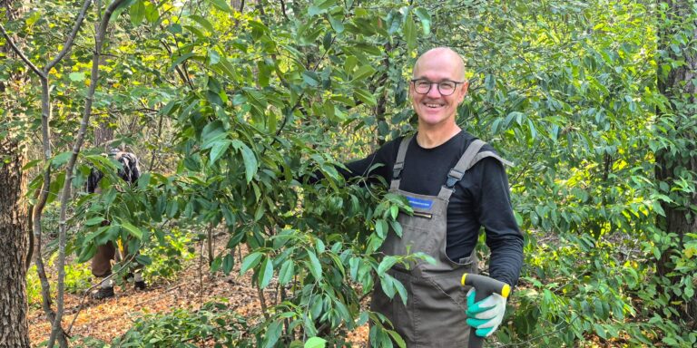 Man in overall werkt lachend in bosrijk gebied.