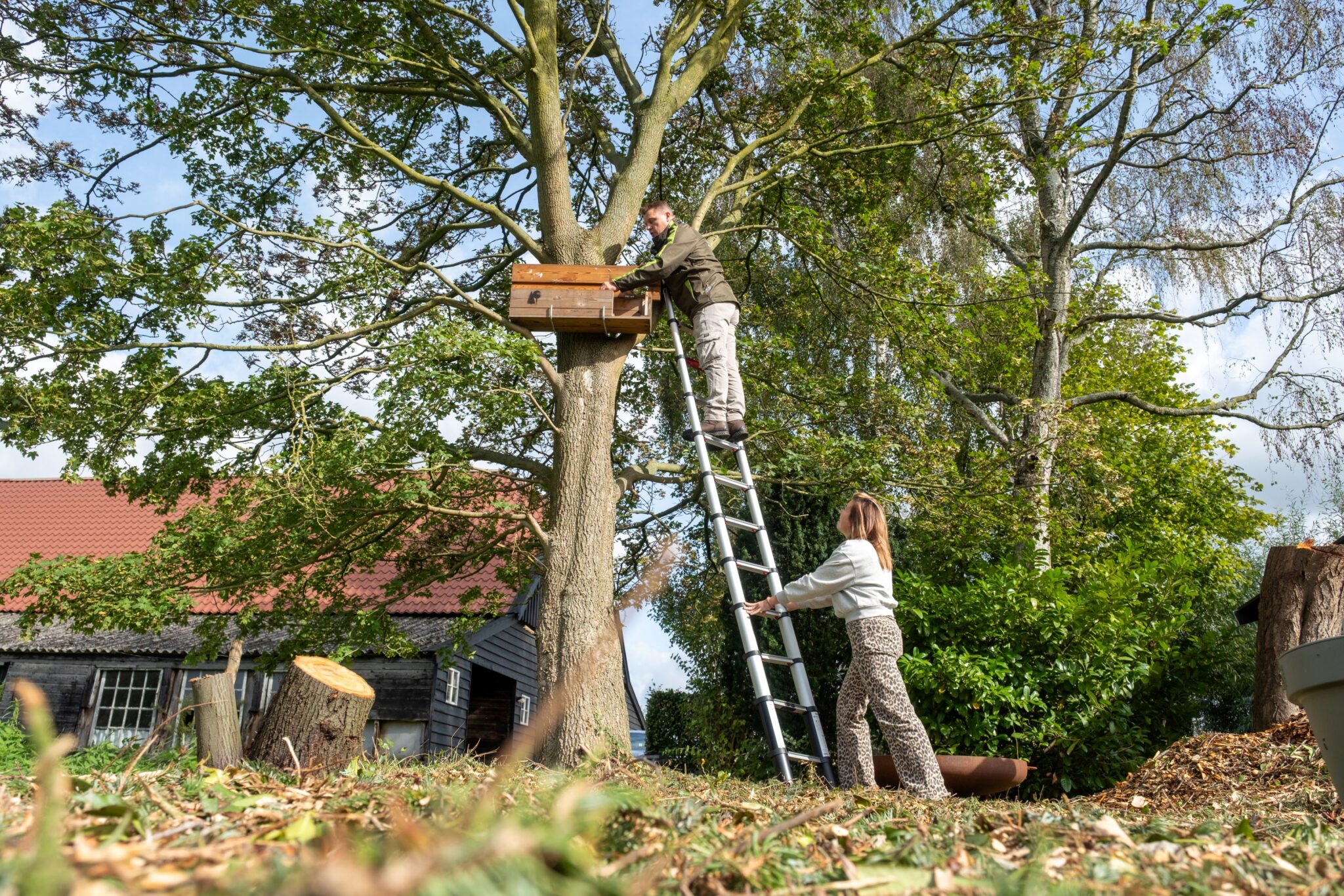 Twee mensen plaatsen een nestkast in een boom met een ladder in een groene tuin.