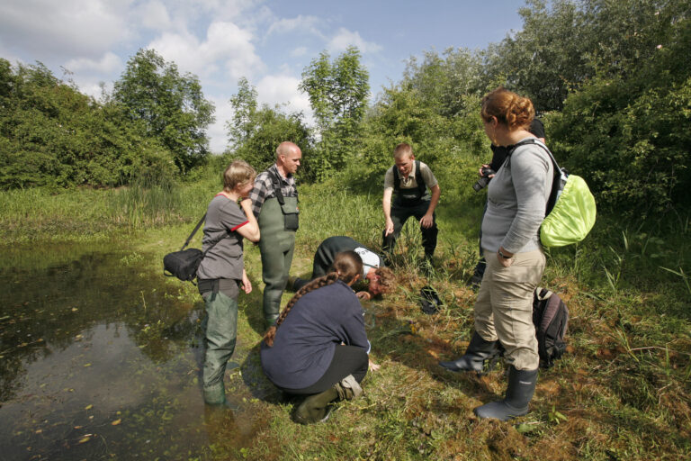 Een groep mensen onderzoekt de vegetatie langs een vijver in een groene, bosrijke omgeving.