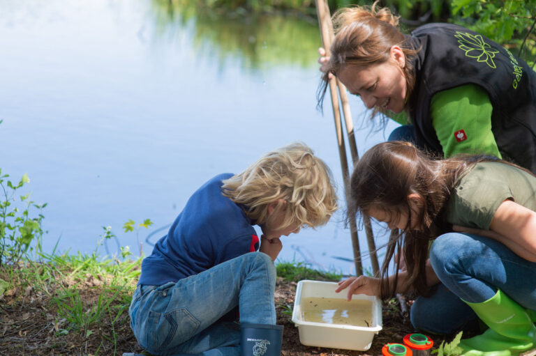Twee kinderen en een volwassene onderzoeken waterleven in een bakje bij een vijver.