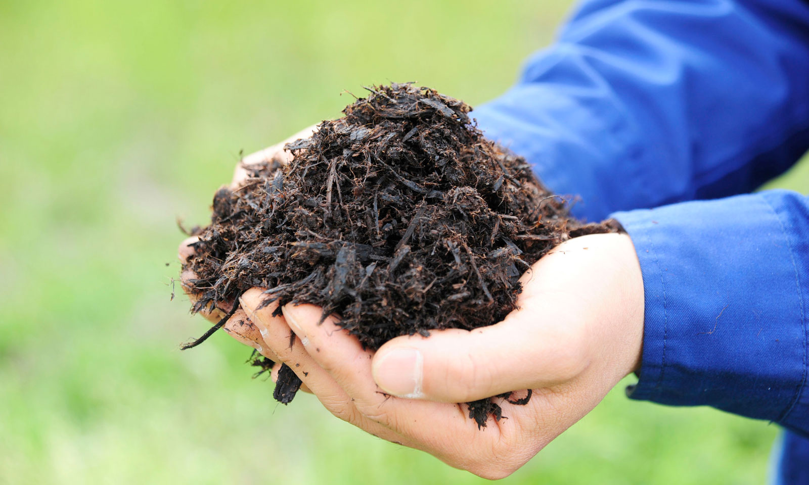 Maak je eigen schoolcompost!