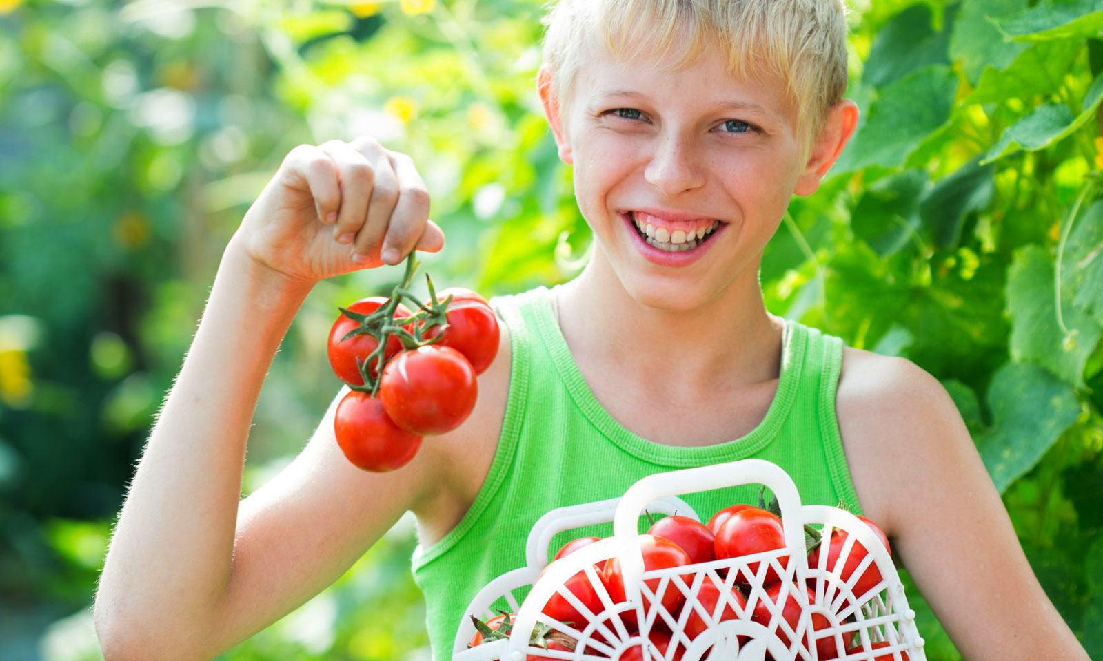 Hoe verzorg je de plantjes de komende tijd?