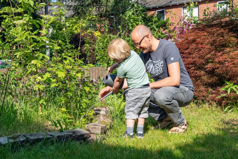 Tuiny Forest voor gemeenten