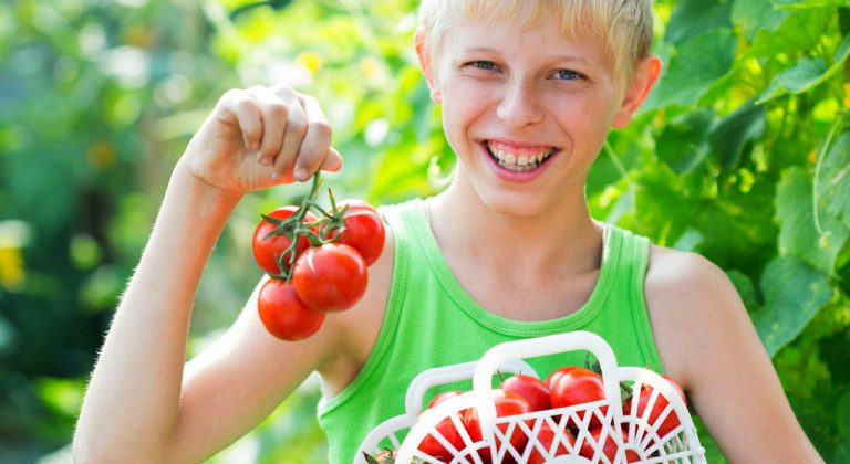 Jongen in groene tanktop houdt een tros tomaten vast en glimlacht omhoogkijkend in een tuin.