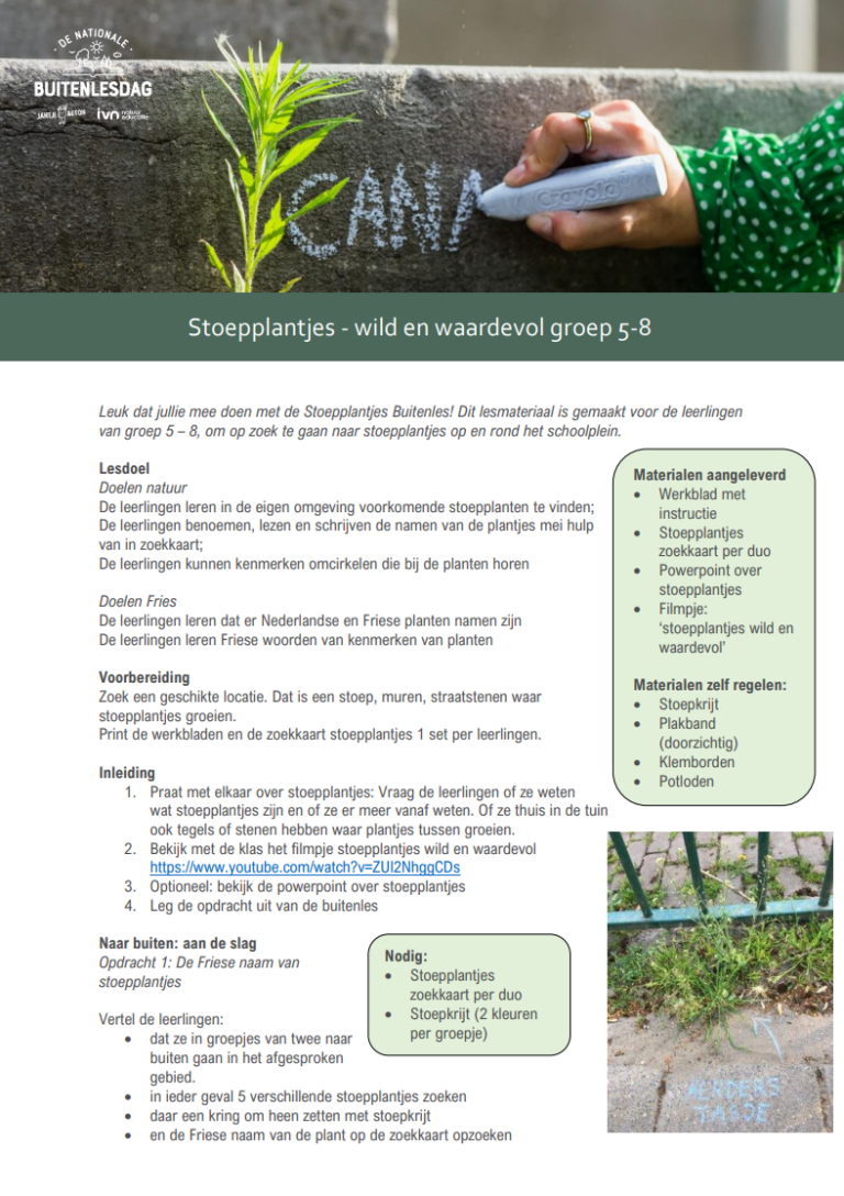 Een hand schrijft met stoepkrijt naast een stoepplantje; lesmateriaal voor groep 5-8.