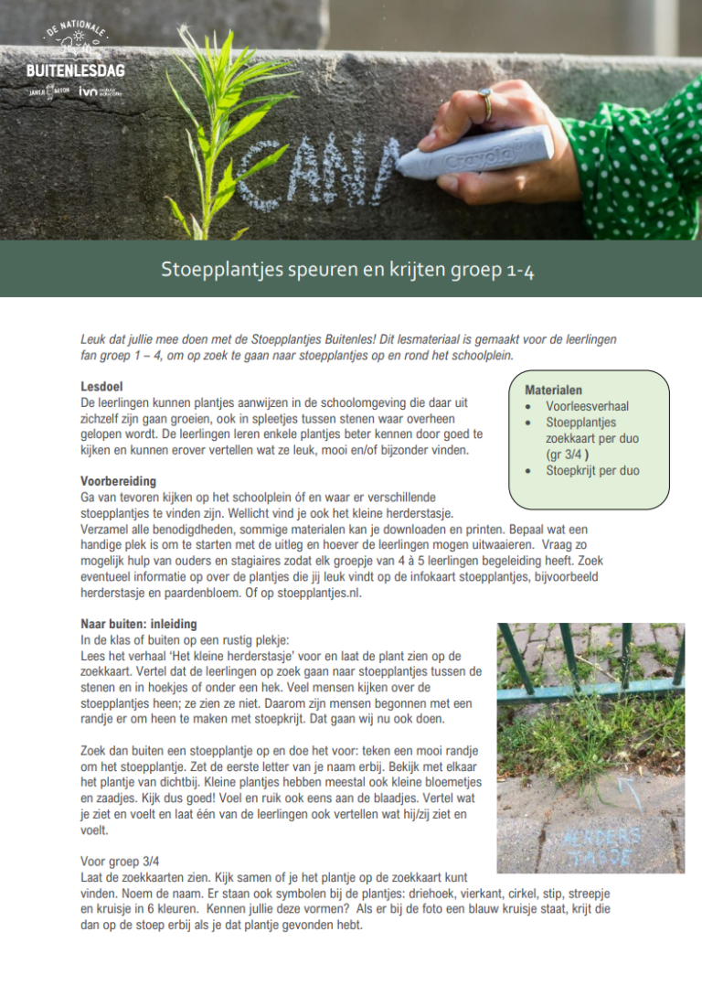 Hand met krijt schrijft naast plantje op stoep; tekst over les Stoepplantjes Buitenspeuren.