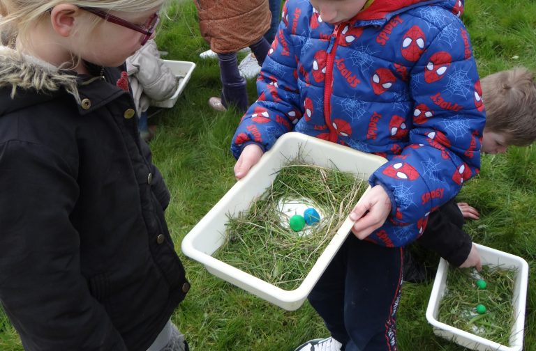 Kinderen onderzoeken een bak met gras, bladeren en gekleurde ballen in een grasveld.