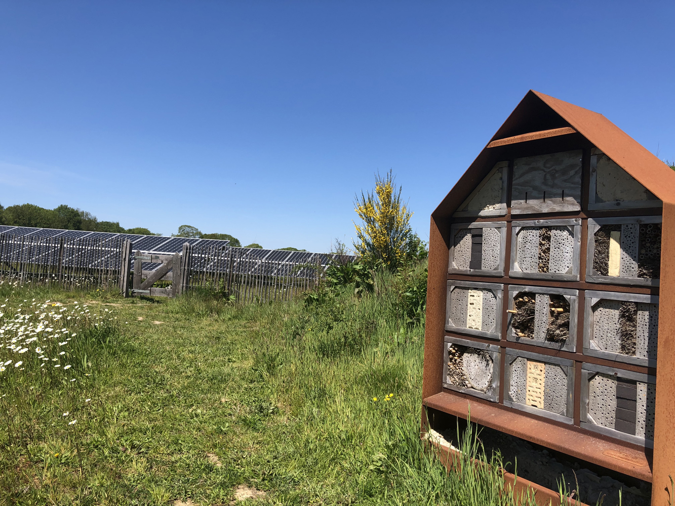 Insectenhotel naast zonnepanelenveld op een zonnige dag in een groen landschap.