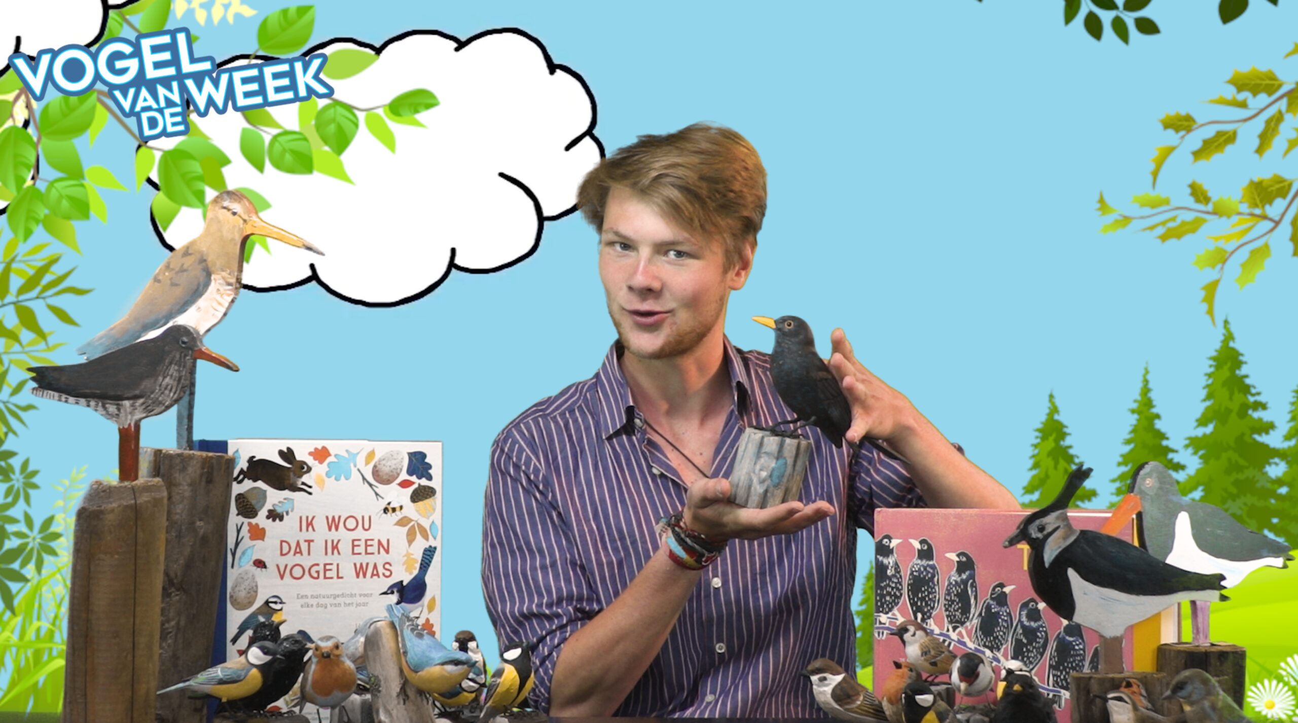 Man presenteert vogels in een kleurrijke achtergrond met boeken en houten vogelmodellen.