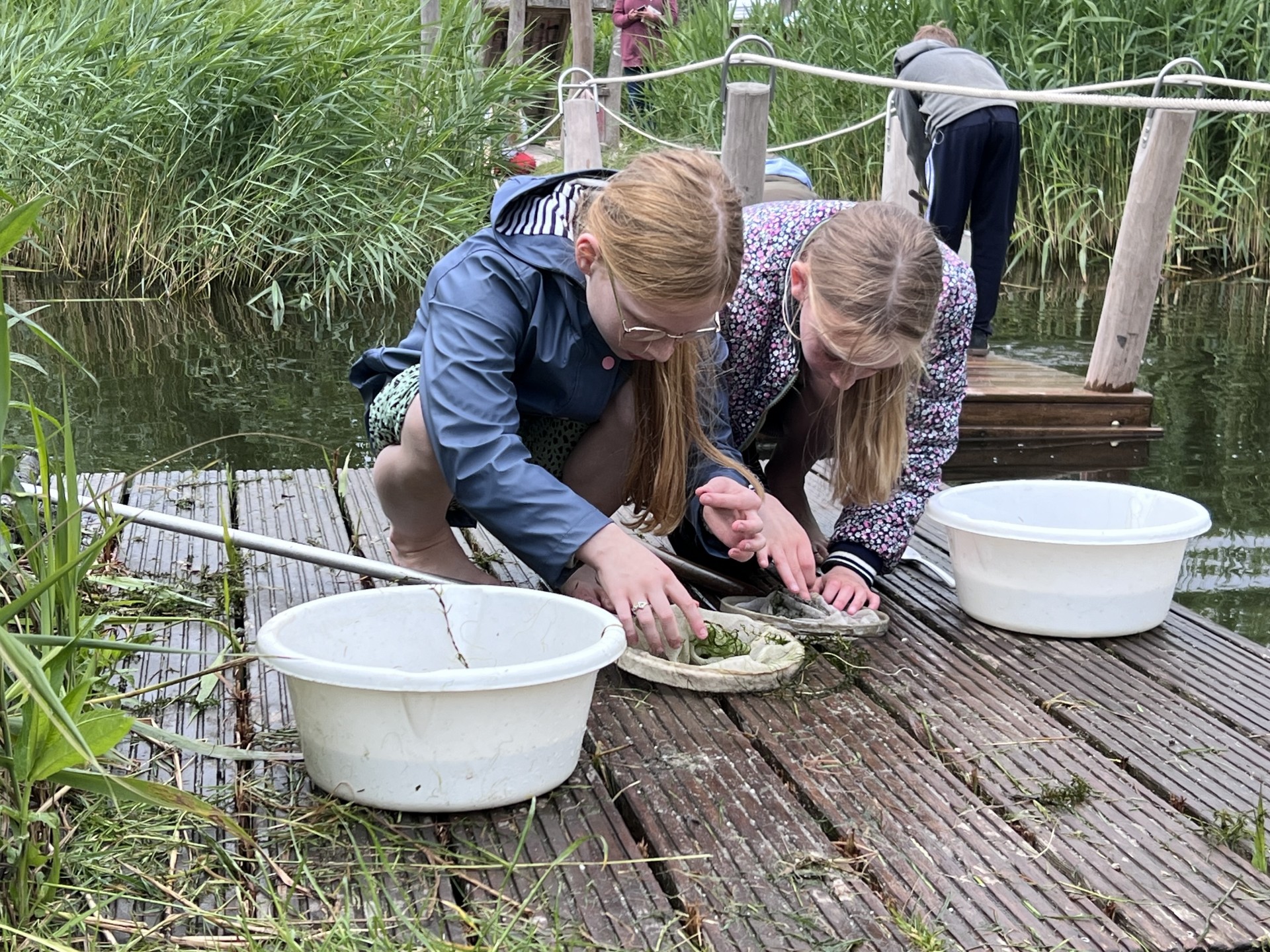 Kinderen onderzoeken waterleven met schepnet en emmer aan de oever.