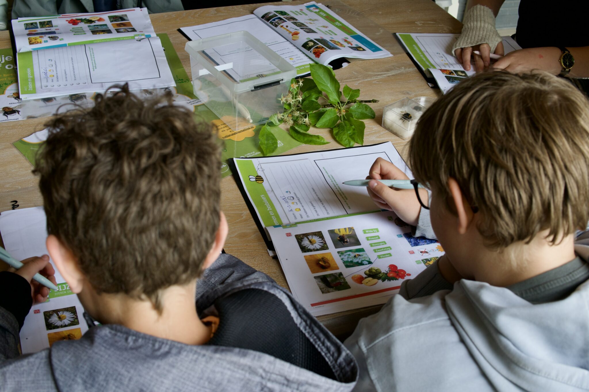 Kinderen werken aan biologieproject met bladeren en werkbladen op tafel.