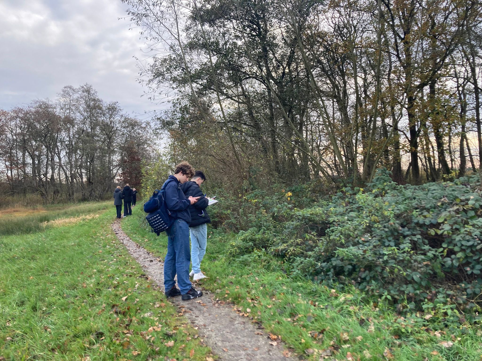 Mensen op een bosachtig pad, enkele omstanders lezen of schrijven.