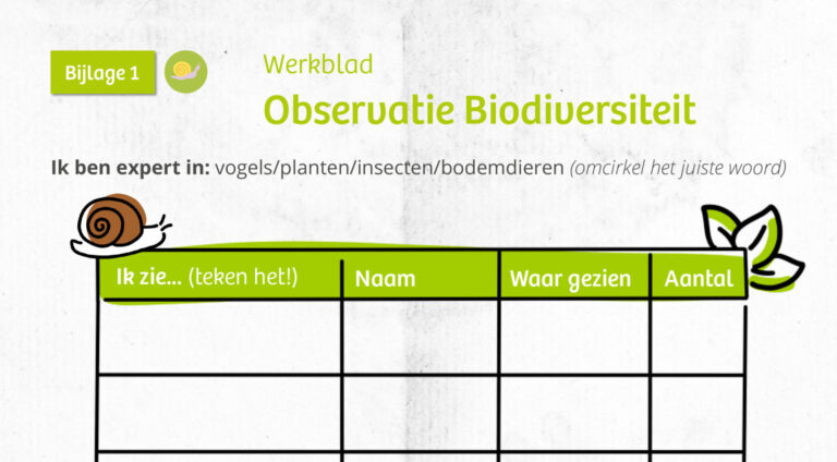 Werkblad voor biodiversiteit observatie met secties voor tekeningen en gegevensnotities. Bevat kleurrijke illustraties van natuur.
