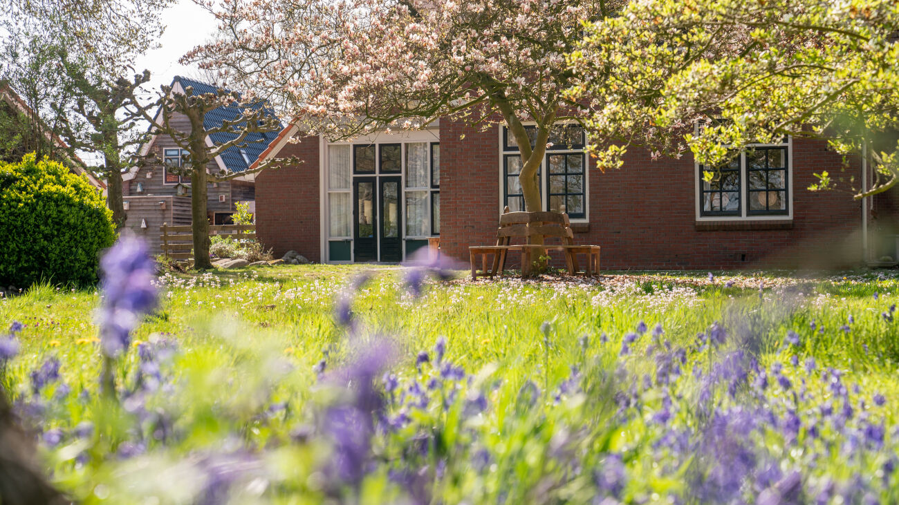 Rood bakstenen huis met bloeiende bomen en bloemen in de voorjaarszon.