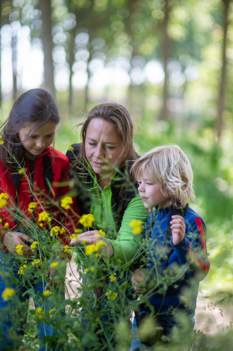 Een vrouw en twee kinderen bekijken gele bloemen in een groene, bosrijke omgeving.