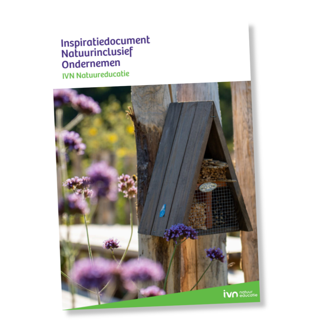 Omslag van het IVN document met insectenhotel en paarse bloemen op de voorgrond.
