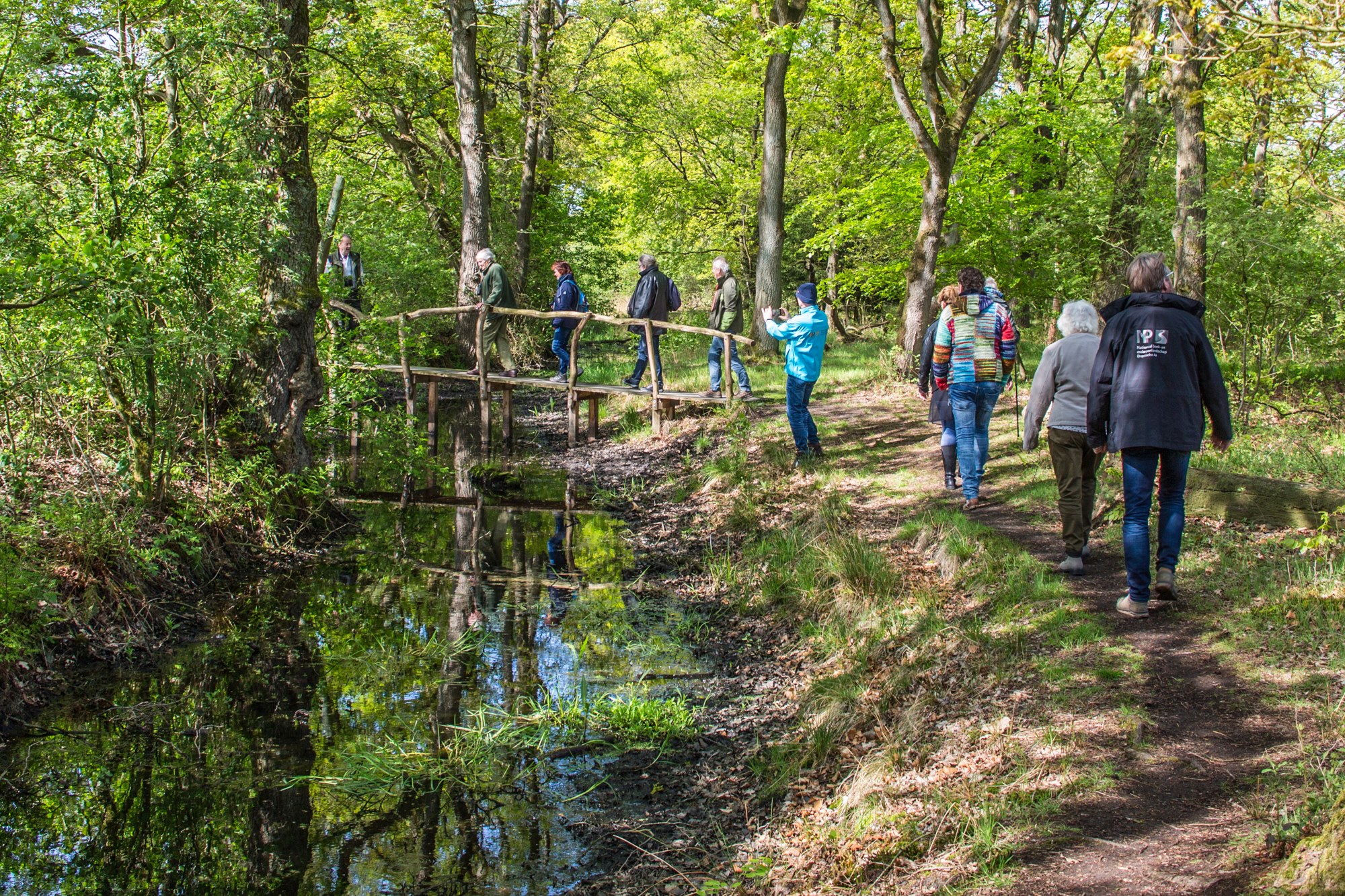 Groep mensen wandelt door een bos, sommigen steken een kleine brug over.