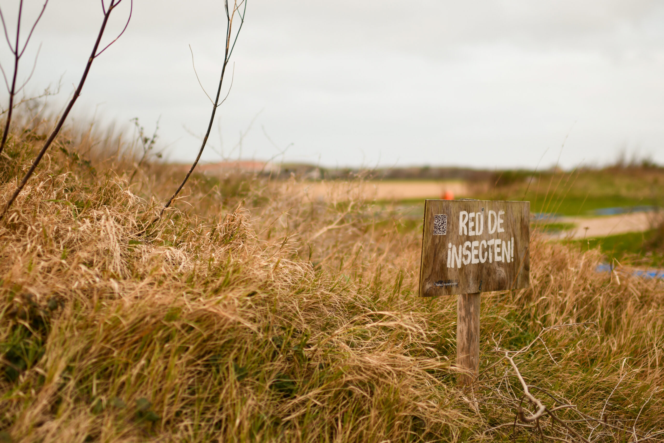 Houten bord met tekst "Red de insecten!" in een grasrijke omgeving.