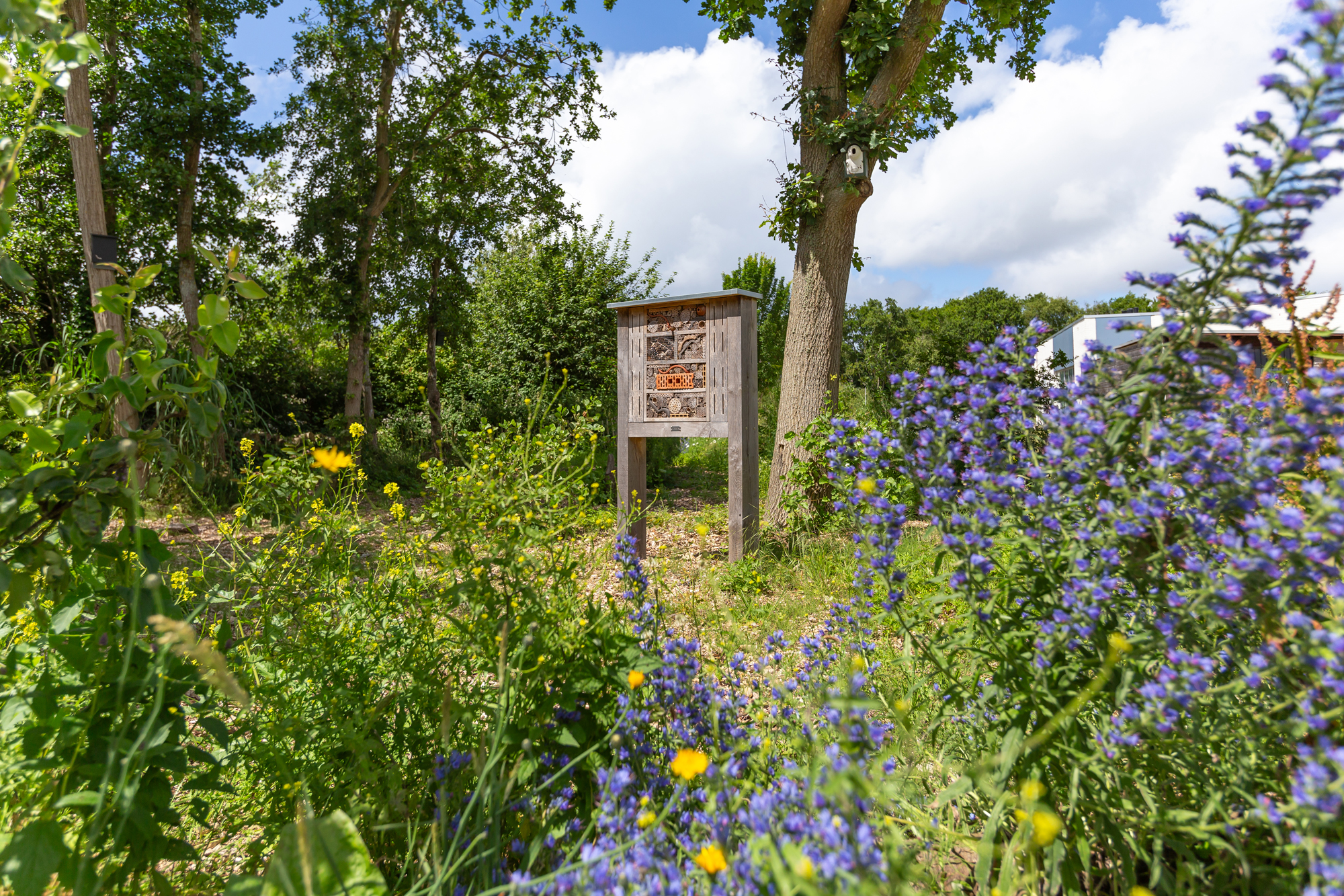 Insectenhotel in een bloementuin, omringd door groene bomen en kleurrijke bloemen onder een blauwe hemel.