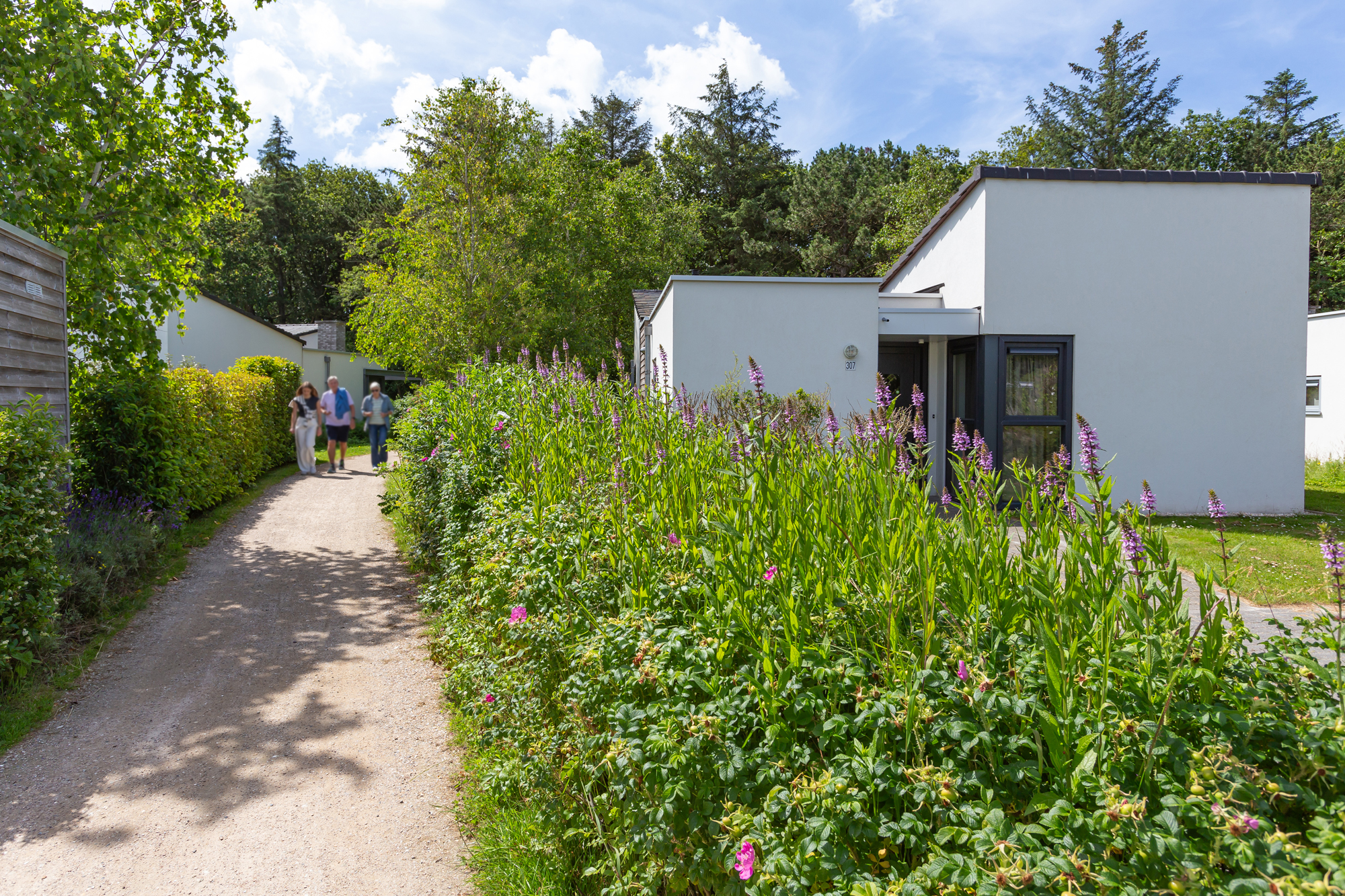 Pad langs moderne, witte bungalows in groene, bloemrijke omgeving; mensen wandelen in de verte.