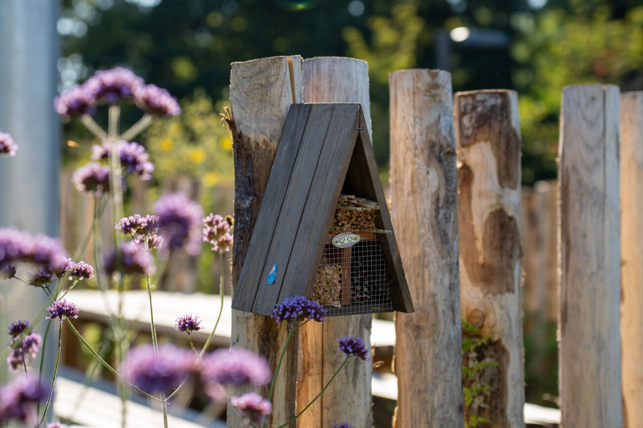 Driehoekig insectenhotel op houtpaal, omgeven door paarse bloemen en bomen op de achtergrond.