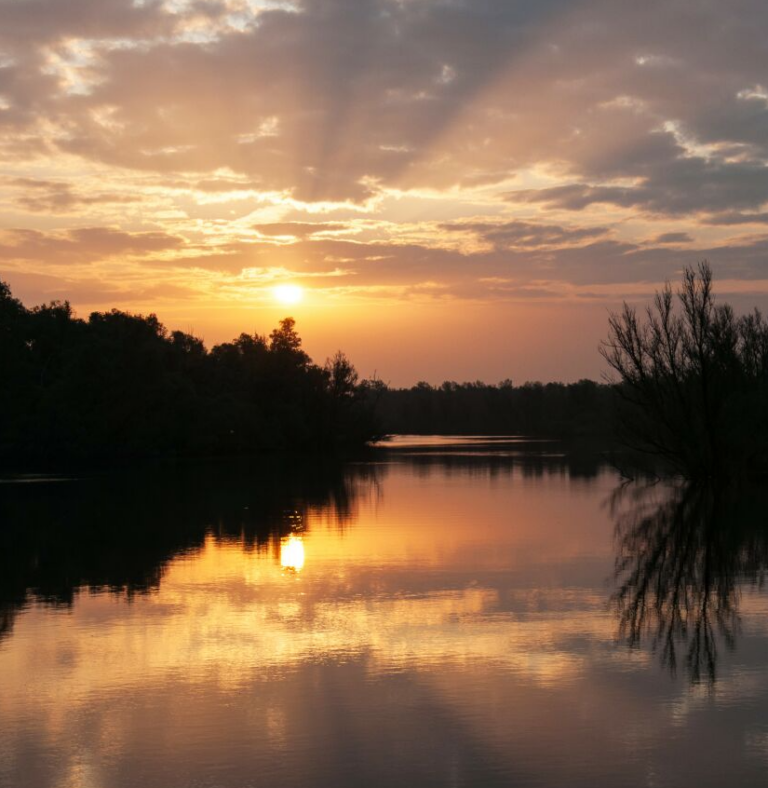 Zonsondergang boven een rivier met weerspiegeling en silhouetten van bomen.