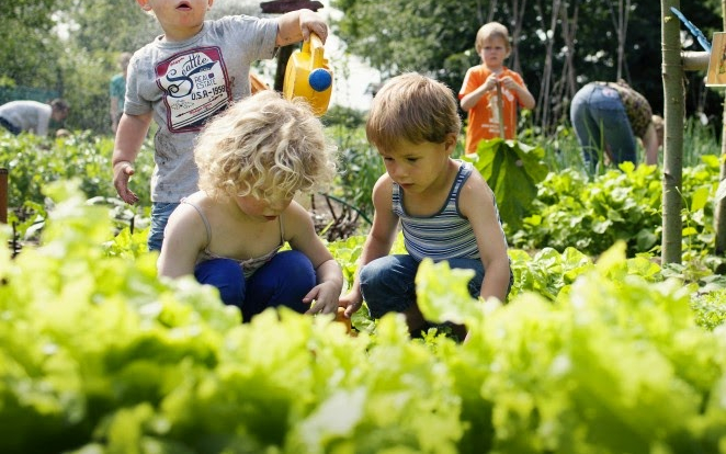 Kinderen werken samen in een groene moestuin, omringd door vers groen blad.
