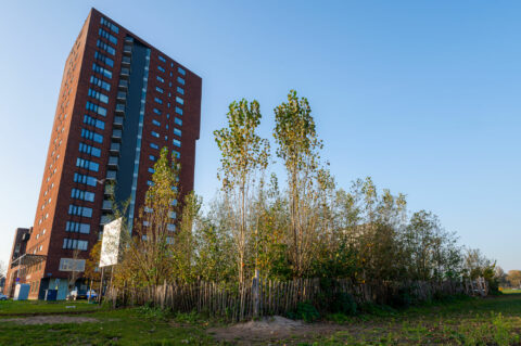 Hoog gebouw naast met bomen omheind stuk land, onder een heldere blauwe hemel.