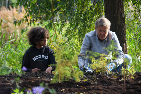 Twee mensen planten samen groene struiken in een weelderige tuinomgeving.