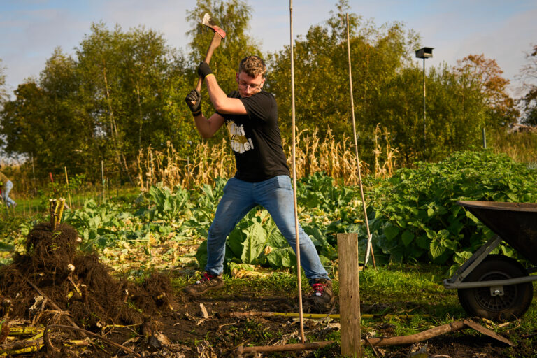 Man hakt met bijl in een groentetuin, omringd door planten en een kruiwagen.