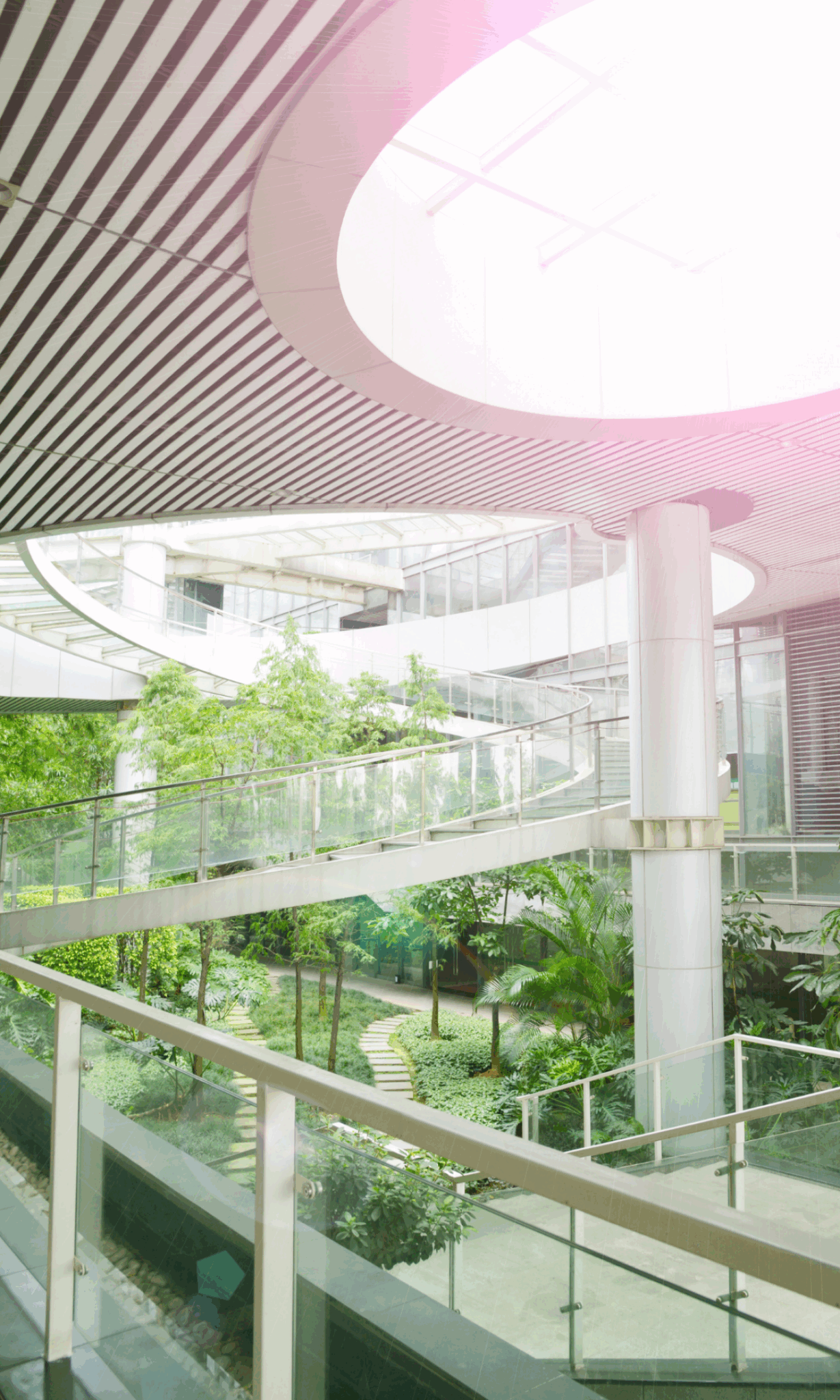 Moderne, lichte binnenplaats met glazen balustrades, witte zuilen en groene planten.