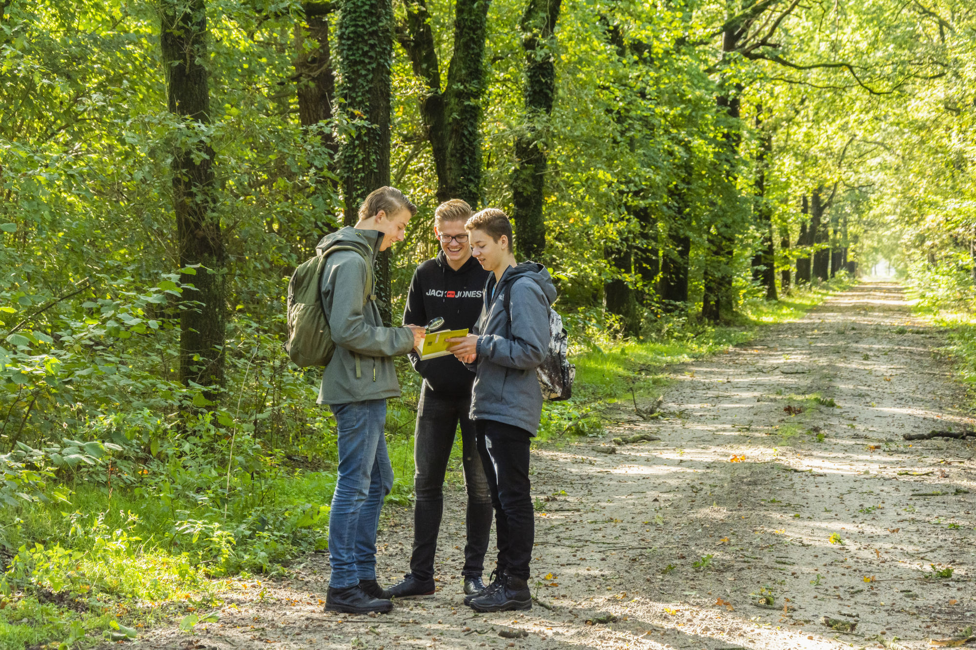 Drie jonge mannen bekijken een kaart op een zonnig bospad omgeven door groene bomen.