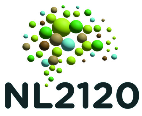Groene en blauwe bollen vormen een patroon boven de tekst "NL2120".