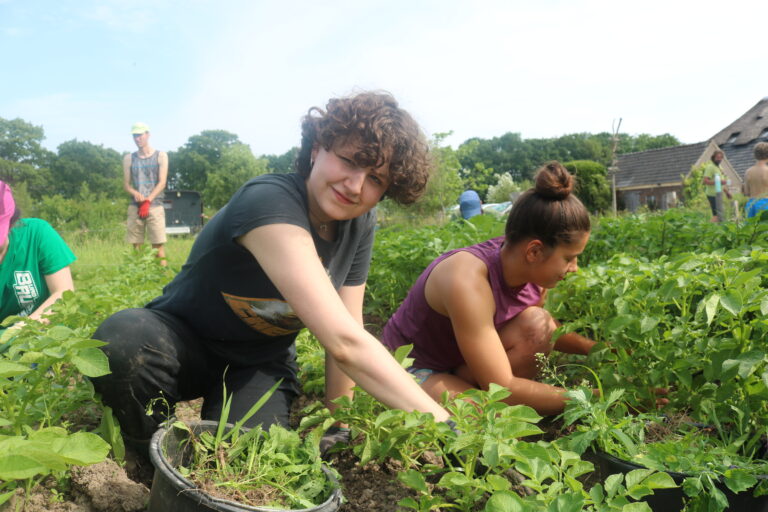 Twee mensen oogsten gewassen in een groene tuin op een zonnige dag.
