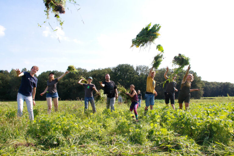 Mensen gooien bundels groen in de lucht in een weide, met bomen op de achtergrond.