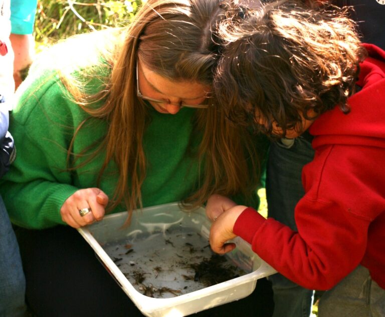 Twee personen bekijken samen mossen en takjes in een bakje buiten.