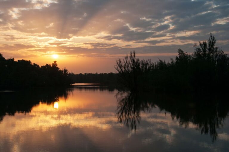 Zonsondergang boven een rustig meer met silhouetten van bomen en reflecties in het water.