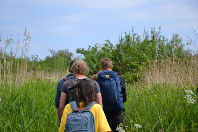 Groep wandelt door hoge grasvelden met rugzakken, omgeven door groen en blauwe lucht.