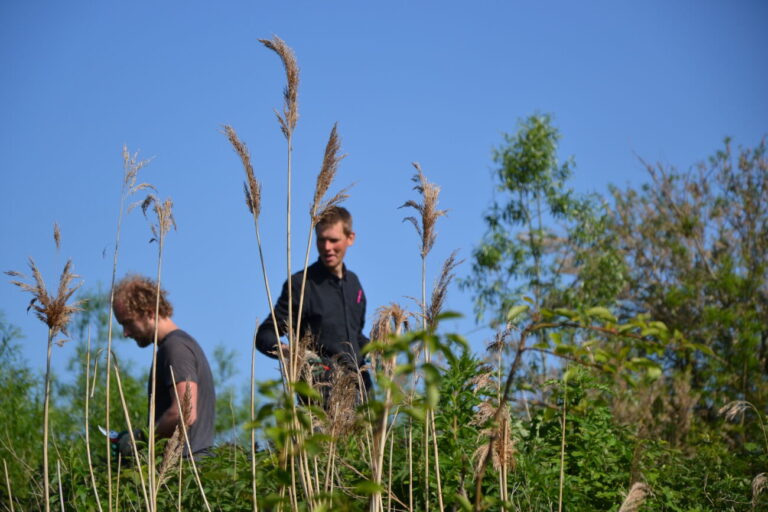 Twee personen in een groen natuurgebied, met hoge grassen en blauwe lucht op de achtergrond.