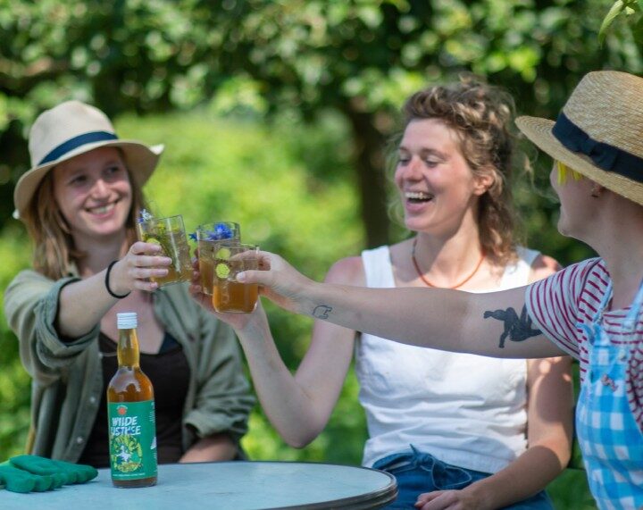 Drie lachende mensen proosten met drankjes aan een tafel buiten in een groene omgeving.
