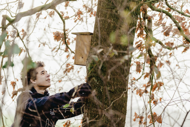 Persoon hangt een houten vogelhuisje aan een boom in een bos, omgeven door herfstbladeren.